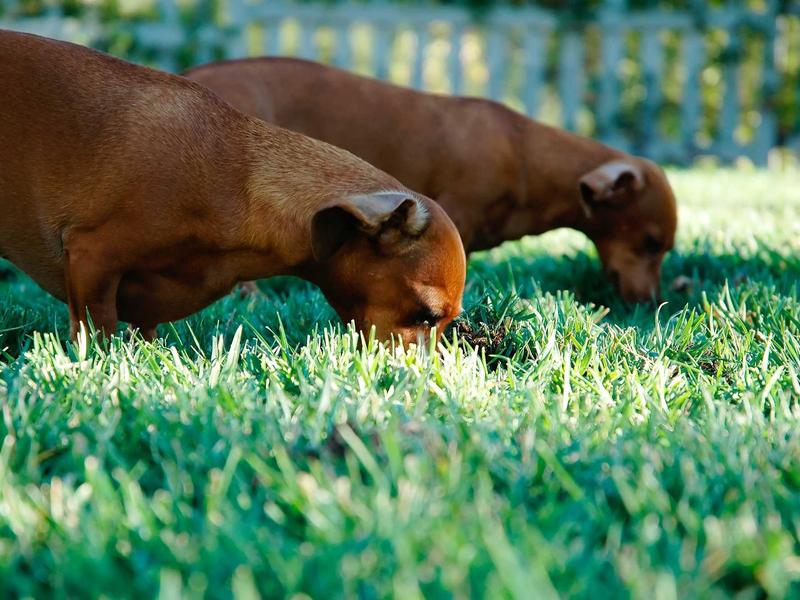 android screenshot 1